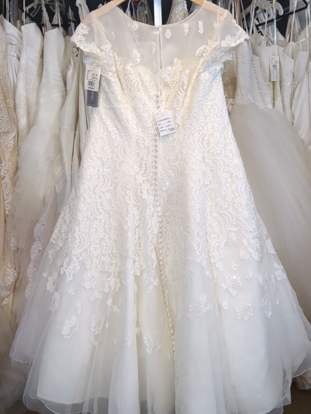 Oleg Cassini Cap Sleeve Illusion Neck Tea-Length Wedding Dress Ivory 16W NWT - Picture 6 of 6